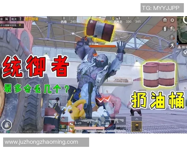 揭秘和平精英成功背后的故事与杨伟的独特见解 揭秘和平精英成功背后的故事与杨伟的独特见解