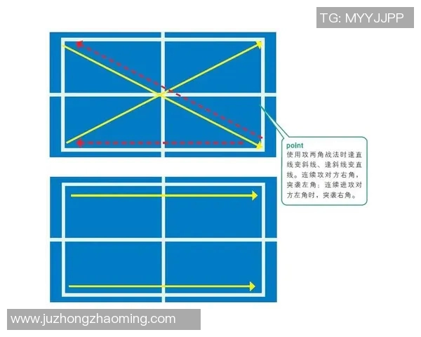 北京乒乓球队战术深度解析及其对比分析的独特视角